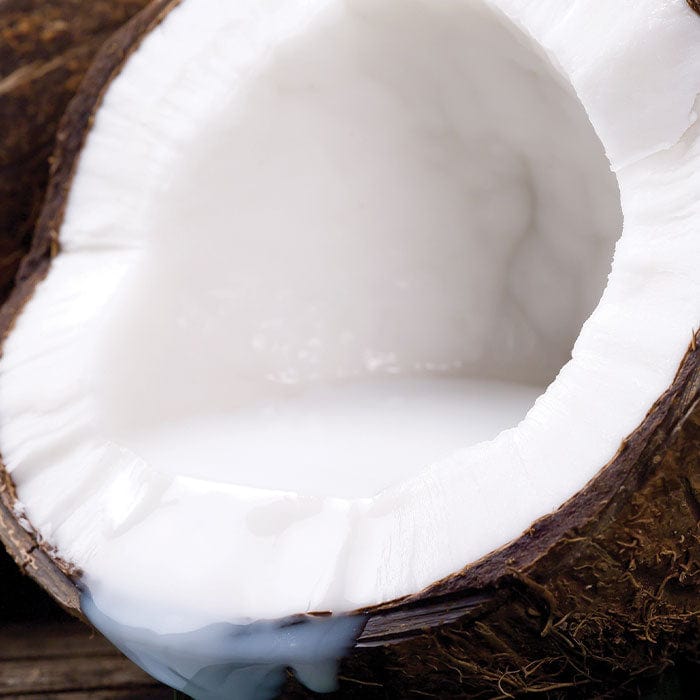 coconut-2-700x700_ad5c9590-9e8d-499a-ac2a-69195aab4fc8.jpg