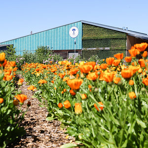 Our Eco-Factory in Peacemarsh, Dorset - Neal's Yard Remedies