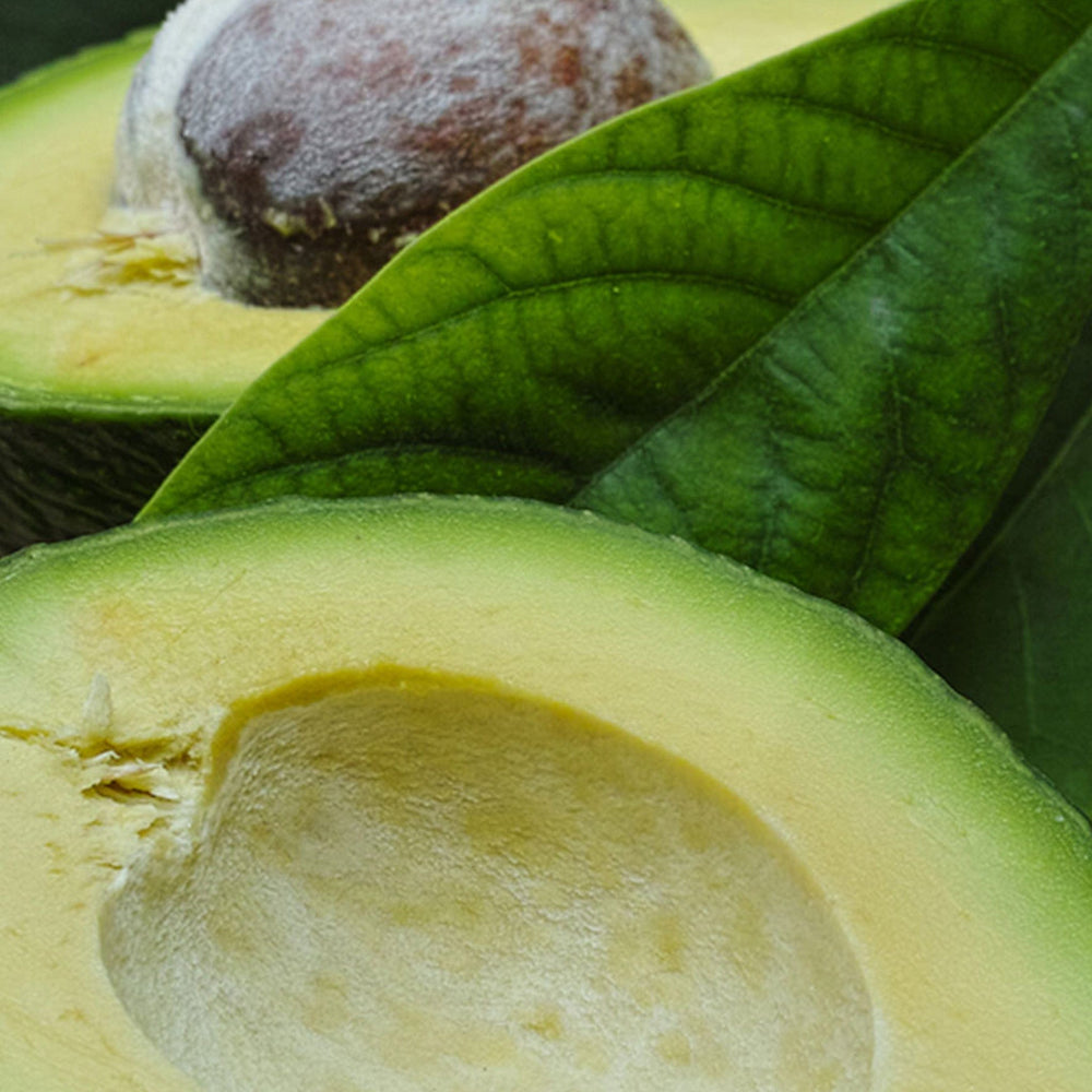 ingredients-avocado.jpg