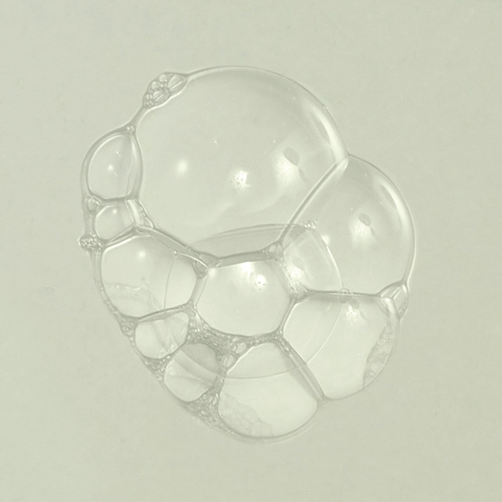 Neal's Yard Remedies Skincare Purifying Palmarosa Daily Moisture 3.38 fl. oz.