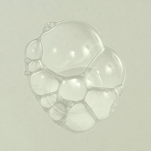 Neal's Yard Remedies Skincare Purifying Palmarosa Daily Moisture 3.38 fl. oz.