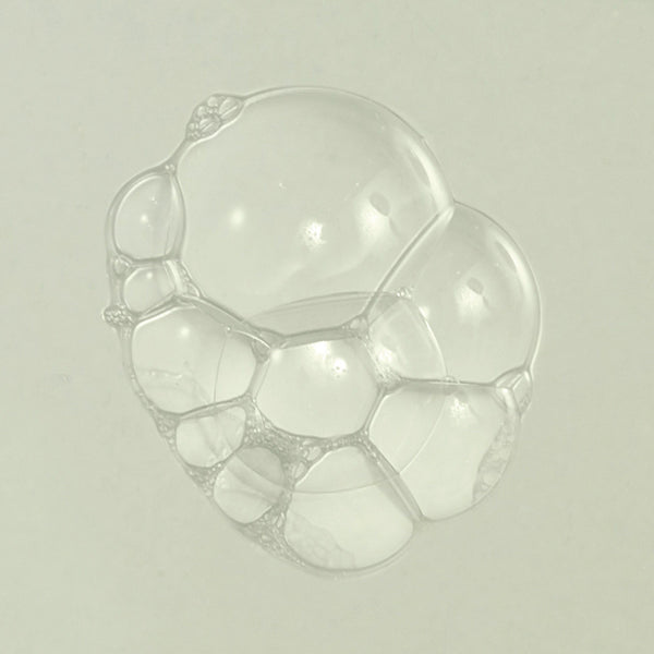 Neal's Yard Remedies Skincare Purifying Palmarosa Daily Moisture 3.38 fl. oz.