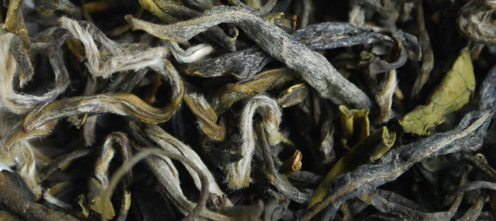 white-tea-2238x1000.jpg