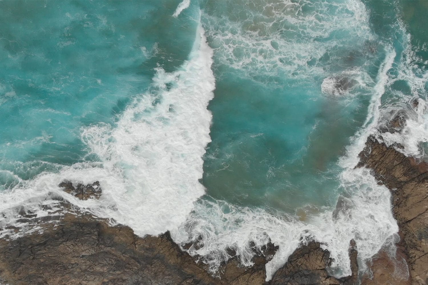 World Oceans Day – Turning tides since 1981