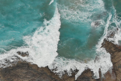 World Oceans Day – Turning tides since 1981