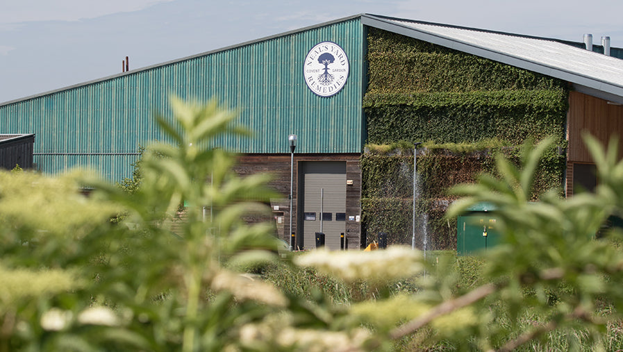 Dorset Factory