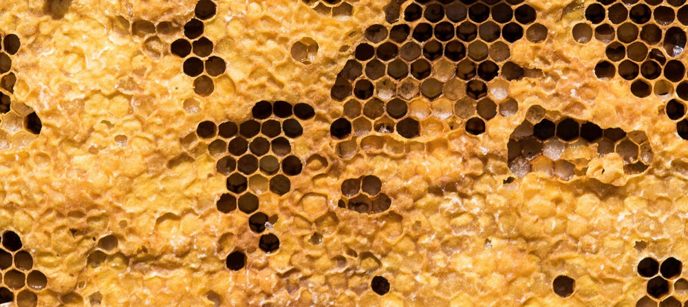 beeswax-2238x1000_4a617f09-6cfd-403e-9a02-889b361870d9.jpg