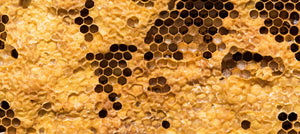 beeswax-2238x1000_4a617f09-6cfd-403e-9a02-889b361870d9.jpg