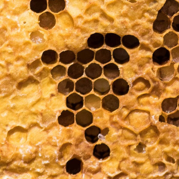 beeswax-700x700_cf038570-fc0b-4e1d-a579-b785f23799cf.jpg
