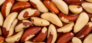brazil-nut-1920x900_a8b6425b-0450-4a00-9a7d-13ee916cf0e4.jpg