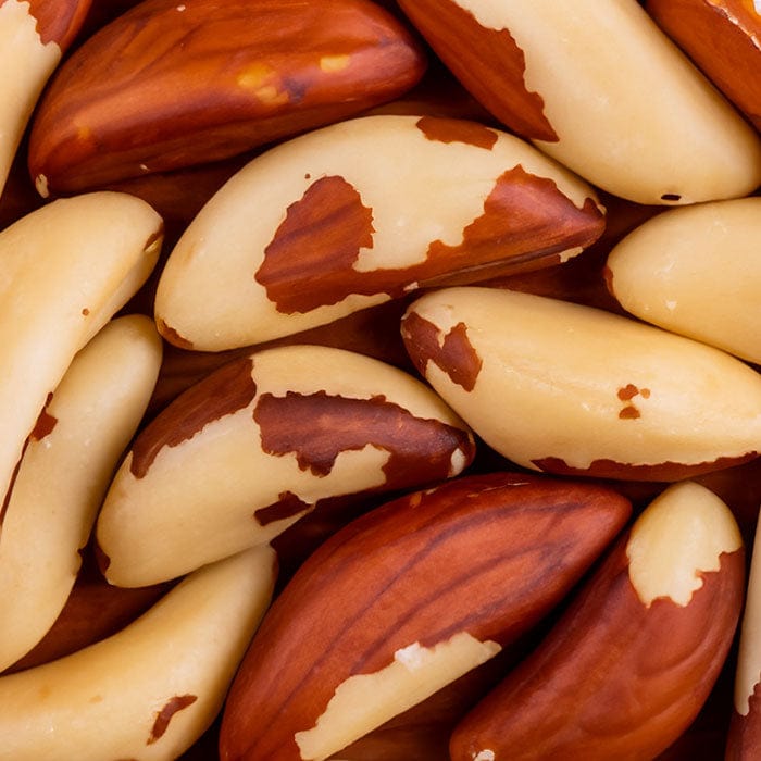 brazil-nut-700x700_0059b038-1e6f-42c2-86f4-868ea1ea1858.jpg