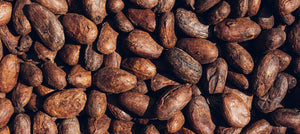 cocoa-butter-2238x1000_cb1938c0-d9f8-40ce-9a58-ff5fcbcd87f9.jpg