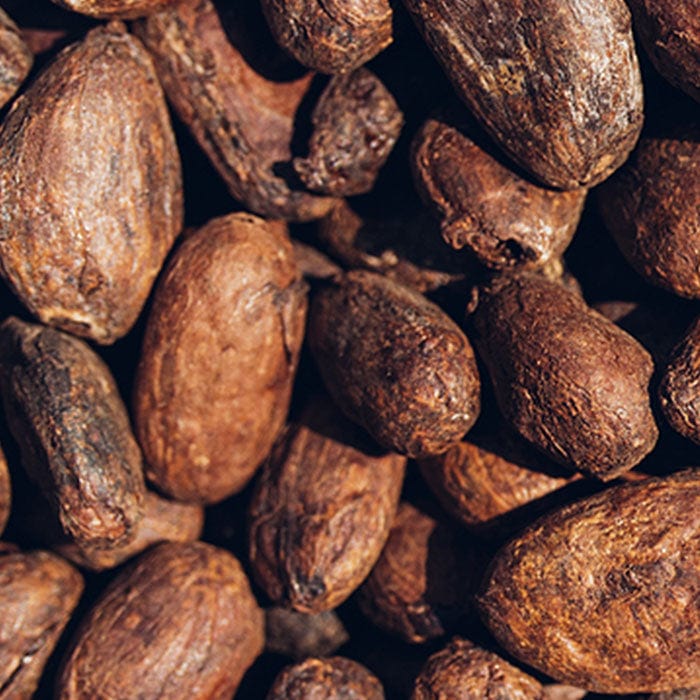 cocoa-butter-700x700_7bd36776-1f93-4e05-b580-51247a7c9fa9.jpg
