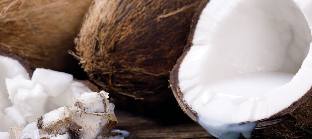 coconut-2238x1000_7cc451b5-d2f8-496b-9798-c143352c713e.jpg
