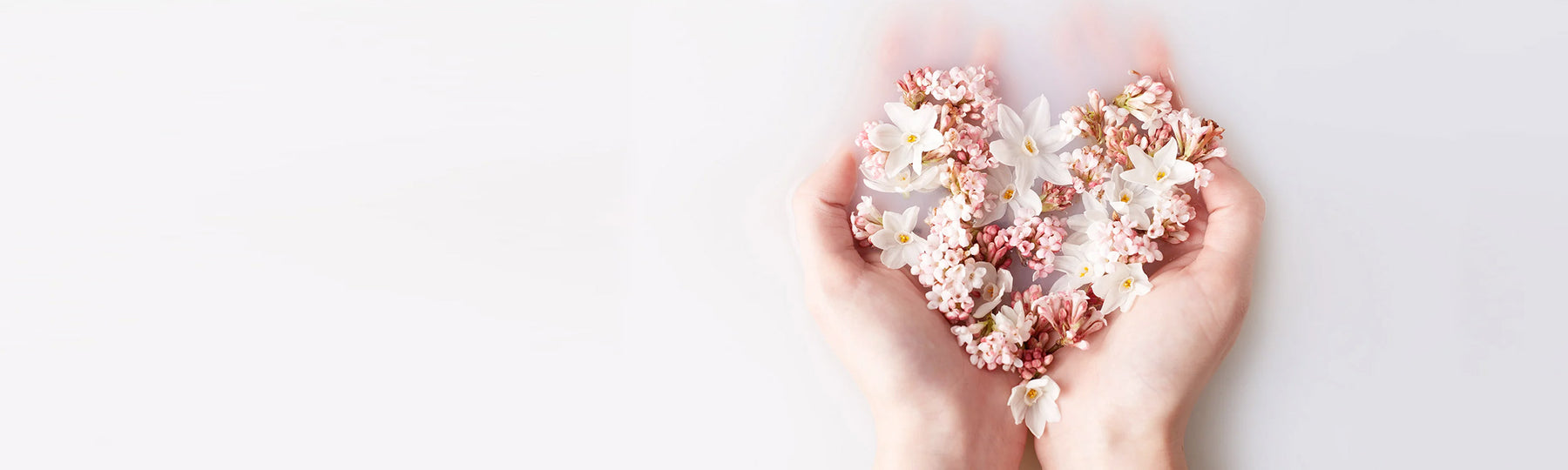 Picture of hands on milky water's surface holding blossom