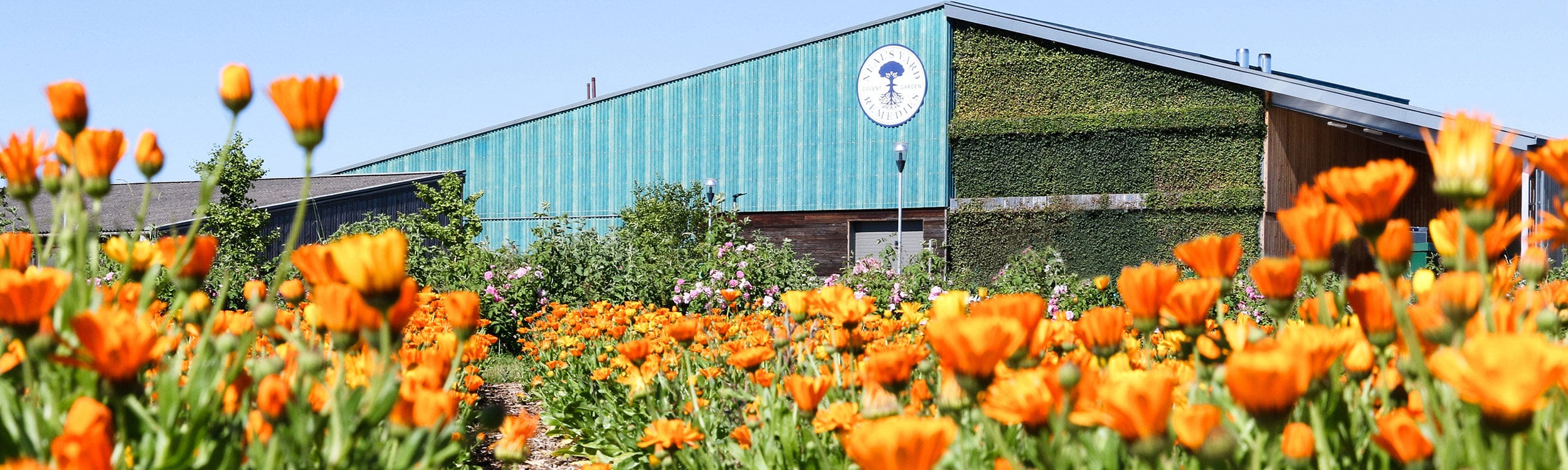 Our Eco-Factory in Peacemarsh, Dorset - Neal's Yard Remedies