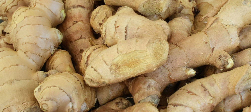 ginger-2238x1000_e200b876-ac26-496a-be68-9f17067d1375.jpg