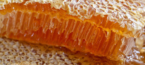 honey-2238x1000_a16bdcf5-7715-43af-a884-490f328a1070.jpg