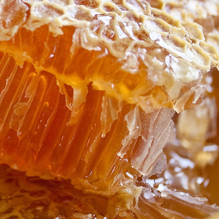 honey-700x700_fa4e4c6d-e30e-4f31-9a53-2e52dff9e62d.jpg