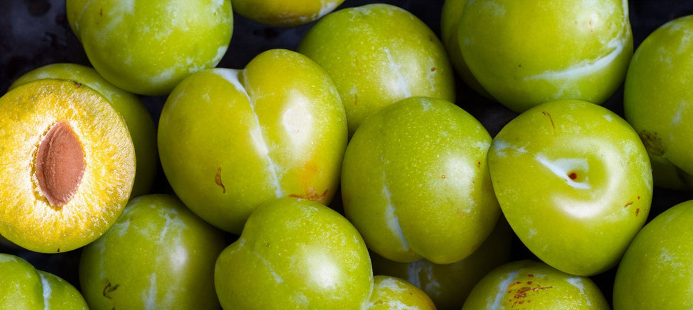 kakadu-plum-2238x1000_923f7d29-f0c3-4793-abb3-377ae90dc7e8.jpg