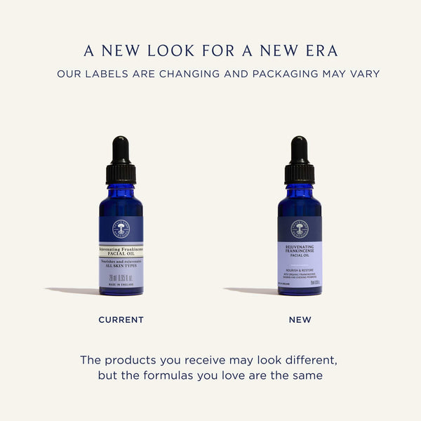 Neal's Yard Remedies Skincare Rejuvenating Frankincense Facial Oil 0.95 fl. oz.