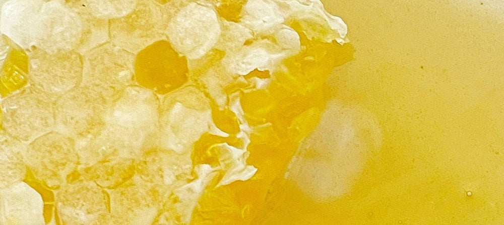 propolis-extract-2238x1000.jpg