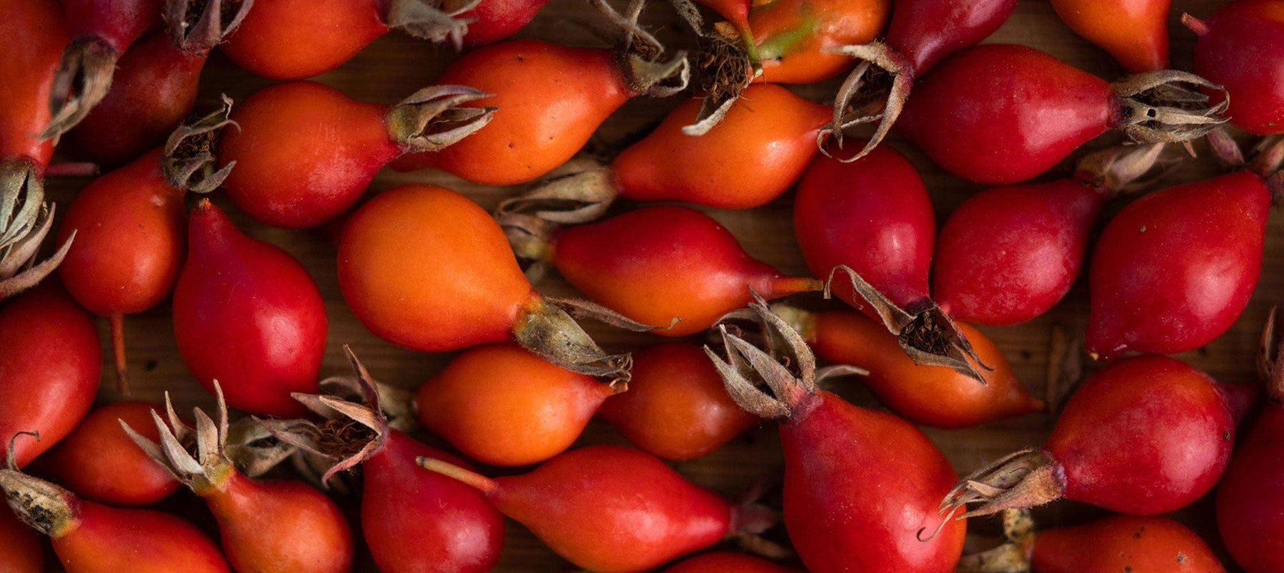 rosehip-2238x1000_3a2da189-8efb-4d5f-bbd0-5dfa420faa28.jpg