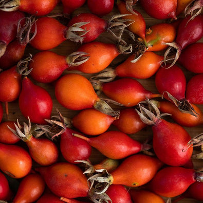 rosehip-700x700_294a030f-ded4-40c9-afd8-2619d9f1617c.jpg