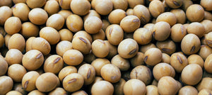 soybean-oil-2238x1000.jpg