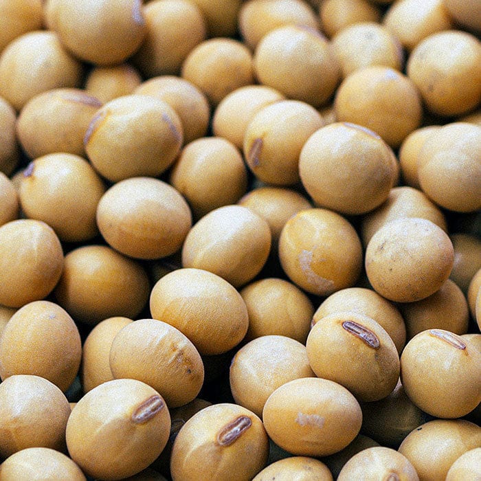 soybean-oil-700x700.jpg
