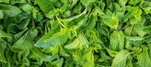 spearmint-leaf-oil-2238x1000.jpg